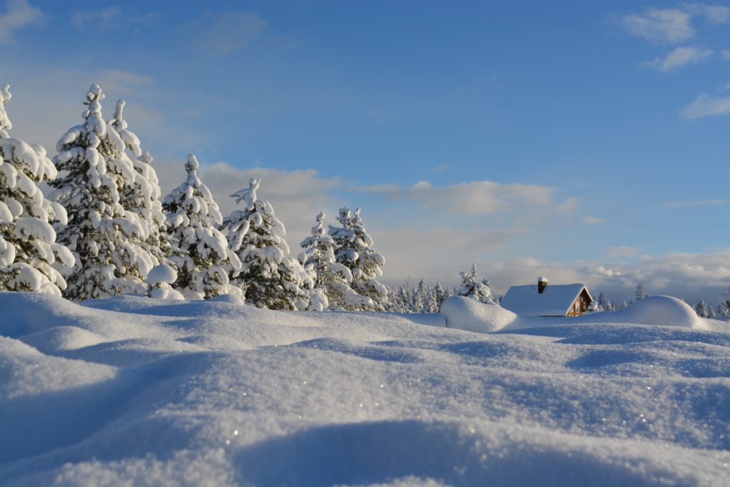 高品質 冬の動画素材サイトまとめ 雪景色やイルミネーションなど リチカクラウドスタジオ Richka Cloud Studio