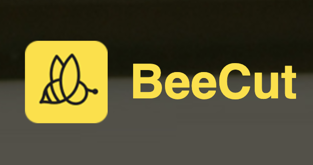 BeeCutでなら動画をカットするのも簡単！主な機能や使い方を徹底解説！